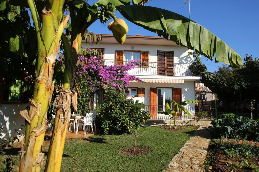 Apartments Leo Rovinj Zewnętrze zdjęcie